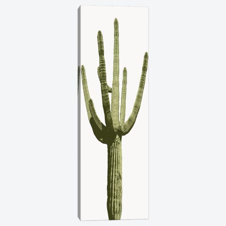 Saguaro Cactus I Canvas Print #MIA13} by Mia Jensen Canvas Artwork