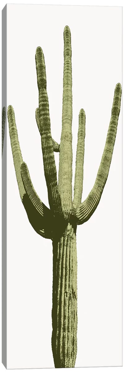 Saguaro Cactus I Canvas Art Print - Nature Close-Up Art