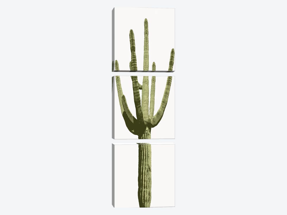 Saguaro Cactus I by Mia Jensen 3-piece Canvas Art Print