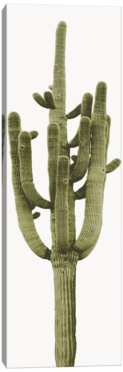 Saguaro Cactus II Canvas Art Print - Earthen Greenery