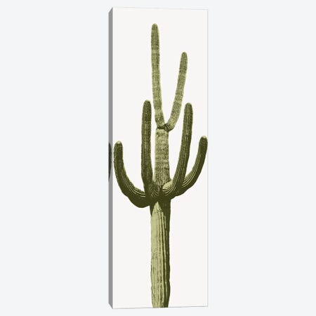 Saguaro Cactus III Canvas Print #MIA15} by Mia Jensen Art Print