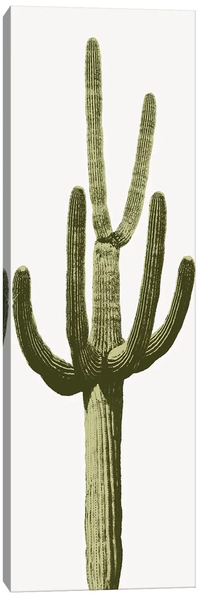 Saguaro Cactus III Canvas Art Print - Nature Close-Up Art