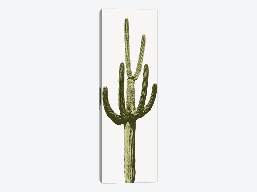 Saguaro Cactus III by Mia Jensen 1-piece Canvas Print