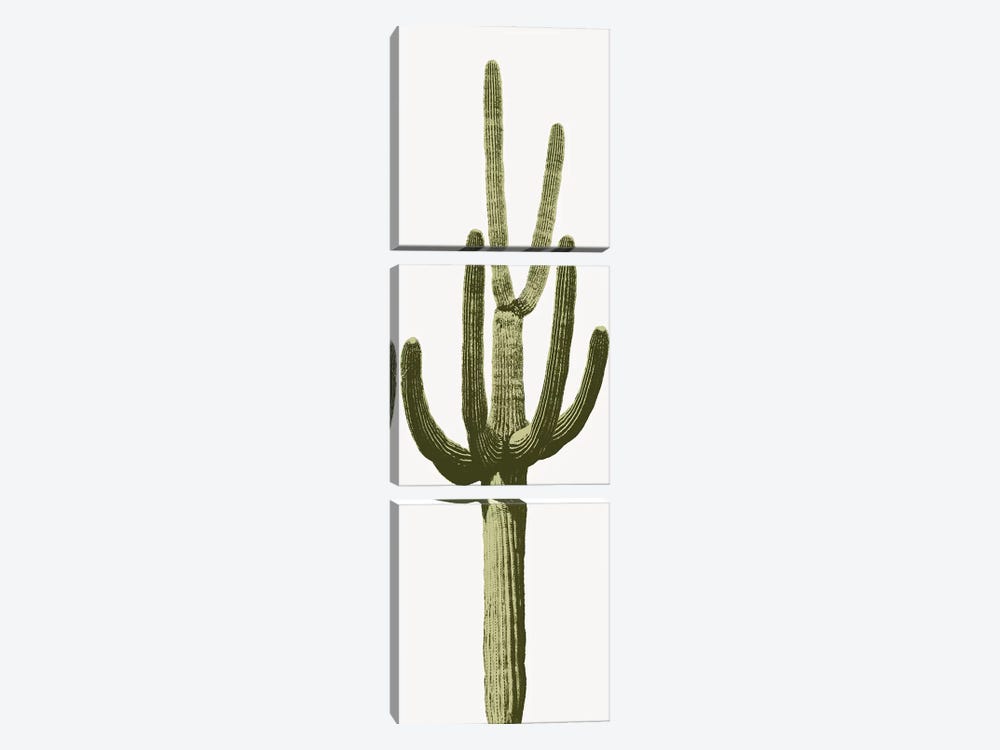 Saguaro Cactus III by Mia Jensen 3-piece Art Print