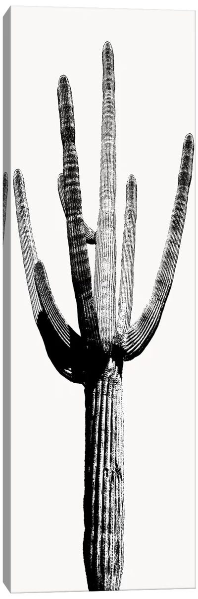 Black & White Saguaro Cactus I Canvas Art Print - Nature Close-Up Art