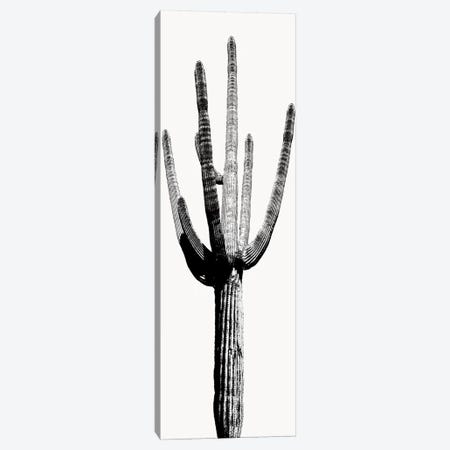 Black & White Saguaro Cactus I Canvas Print #MIA16} by Mia Jensen Art Print