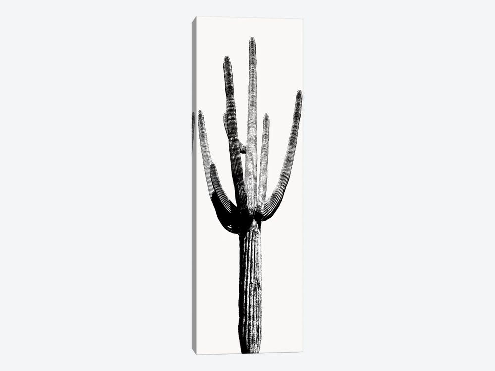 Black & White Saguaro Cactus I by Mia Jensen 1-piece Canvas Wall Art