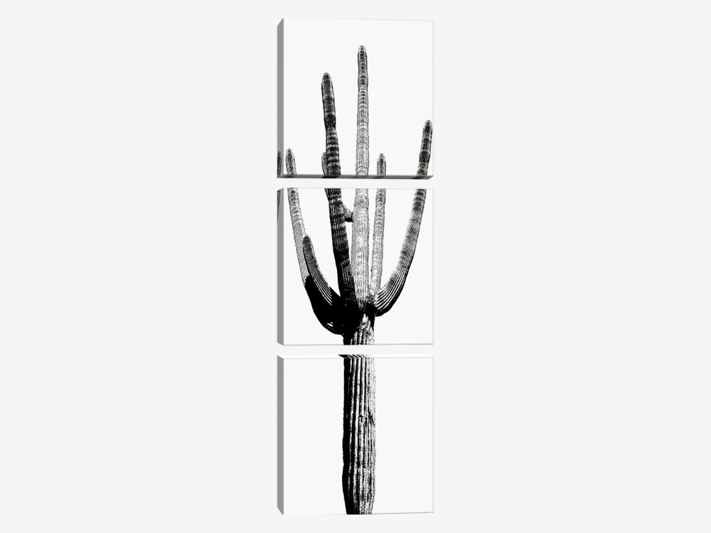 Black & White Saguaro Cactus I by Mia Jensen 3-piece Canvas Artwork