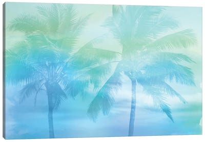 Palm Breeze Blue I Canvas Art Print - Mia Jensen