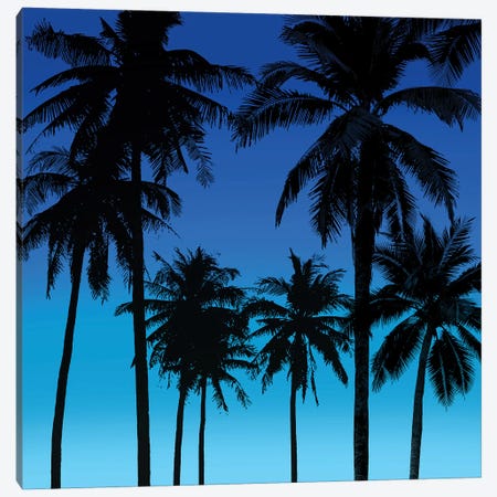 Palms Black on Blue I Canvas Print #MIA25} by Mia Jensen Canvas Art