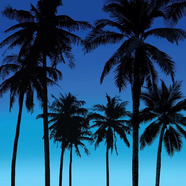 Mia Jensen: Palms Black on Blue I by Mia Jensen