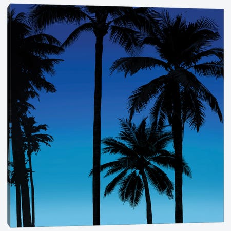 Palms Black on Blue II Canvas Print #MIA26} by Mia Jensen Canvas Wall Art
