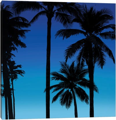 Palms Black on Blue II Canvas Art Print - Tropics to the Max
