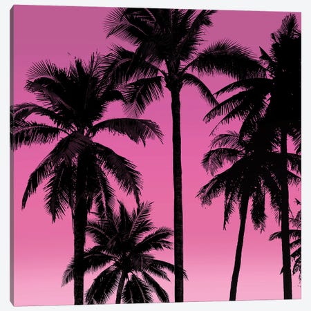 Palms Black on Pink I Canvas Print #MIA27} by Mia Jensen Canvas Art