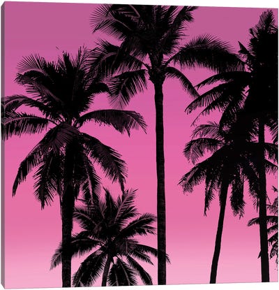 Palms Black on Pink I Canvas Art Print