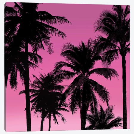 Palms Black on Pink II Canvas Print #MIA28} by Mia Jensen Art Print
