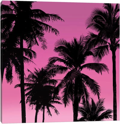 Palms Black on Pink II Canvas Art Print - Tropics to the Max