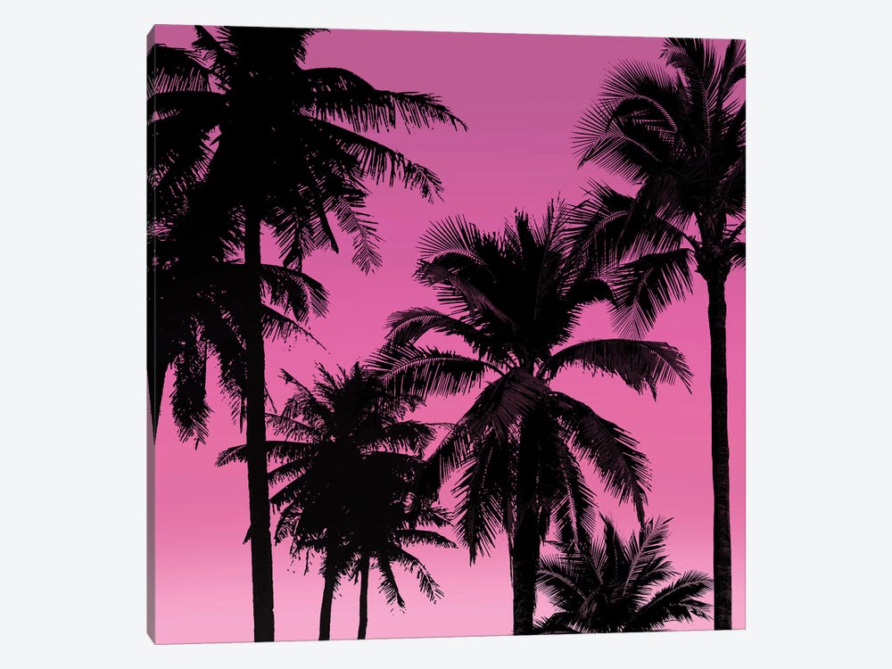 Palms Black on Pink II by Mia Jensen 1-piece Canvas Print