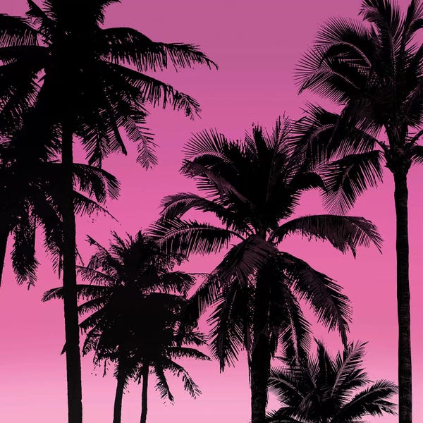 Mia Jensen: Palms Black on Pink II by Mia Jensen