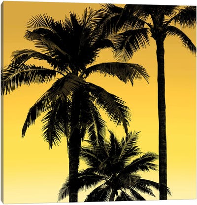 Palms Black on Yellow I Canvas Art Print - Tropics to the Max