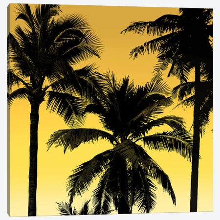 Palms Black on Yellow II Canvas Print #MIA30} by Mia Jensen Canvas Artwork
