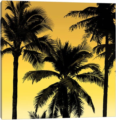 Palms Black on Yellow II Canvas Art Print