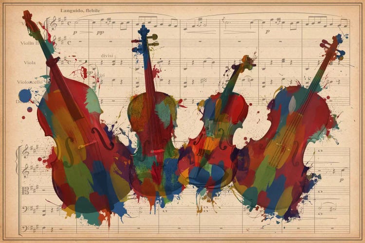 Multi-Color Orchestra Ensemble: Violin, Viola, Cello, Double Bass