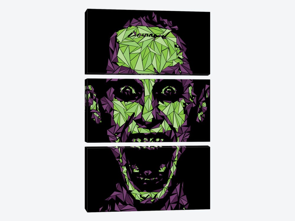 Damaged Joker by Cristian Mielu 3-piece Canvas Art