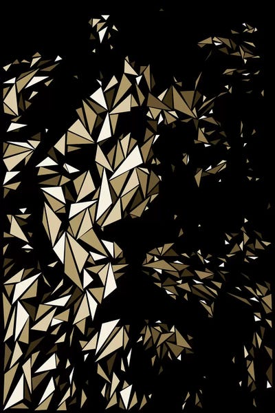 Lion Head by Cristian Mielu canvas print