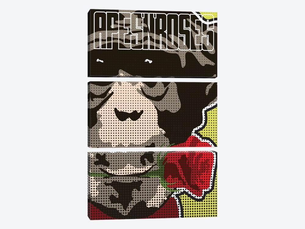 Apes 'N' Roses II by Cristian Mielu 3-piece Canvas Wall Art