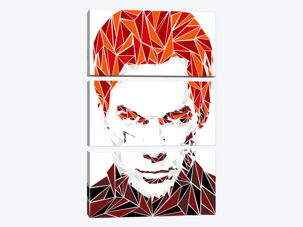 Dexter I by Cristian Mielu 3-piece Canvas Art