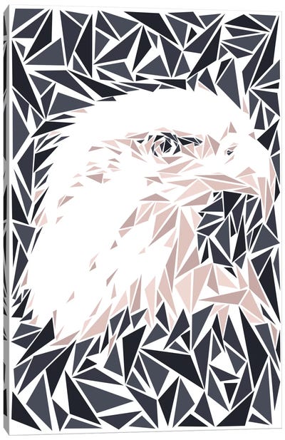 Eagle Canvas Art Print - Cristian Mielu