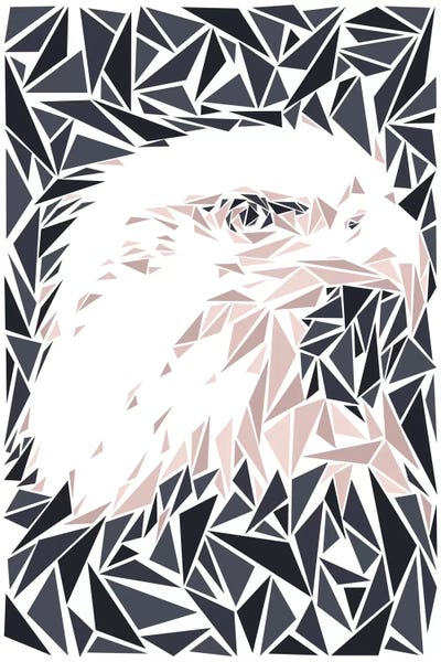Cristian Mielu: Eagle by Cristian Mielu