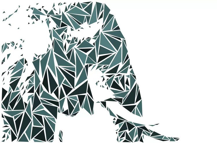 Elephant by Cristian Mielu wall art