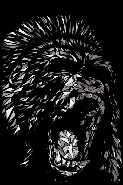 Primates: Gorilla by Cristian Mielu