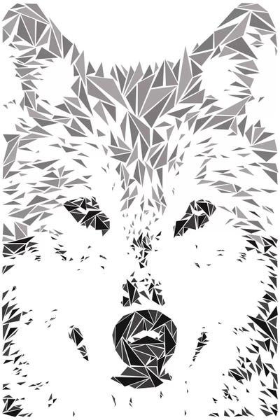 Cristian Mielu: Gray Wolf by Cristian Mielu