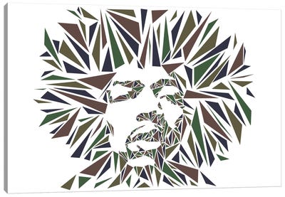 Jimi Hendrix I Canvas Art Print - Cristian Mielu