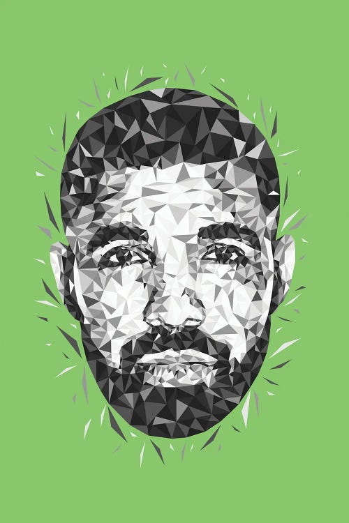 Low Poly Drake