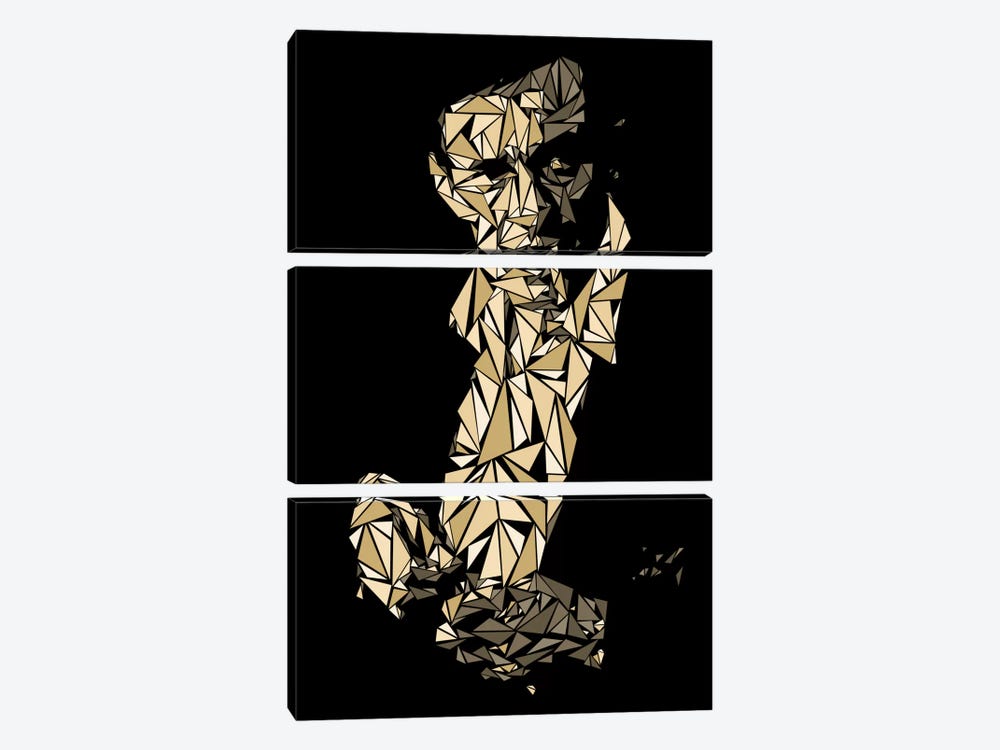 Johnny Cash by Cristian Mielu 3-piece Canvas Artwork