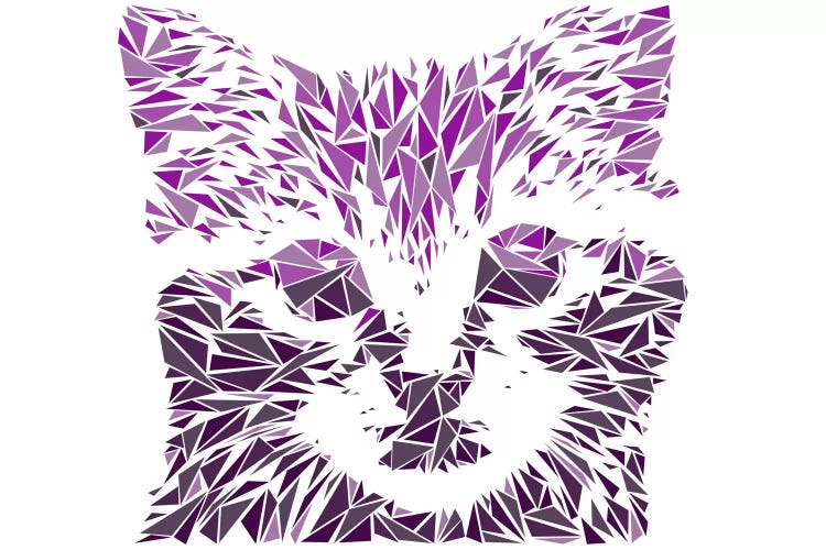 Kitten by Cristian Mielu wall art