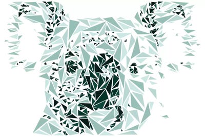 Koala by Cristian Mielu multi panel art