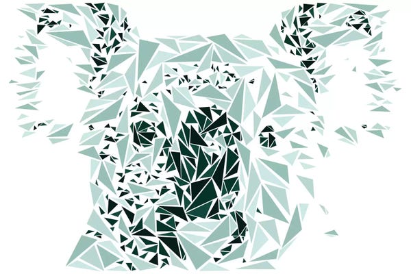 Koalas: Koala by Cristian Mielu