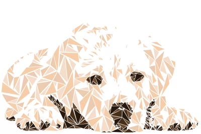 Labrador Puppy by Cristian Mielu canvas print