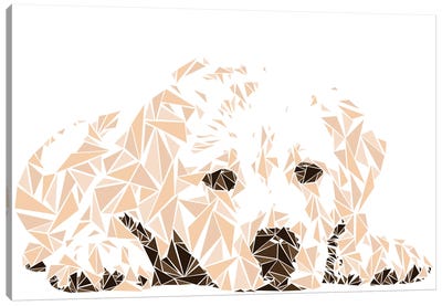 Labrador Puppy Canvas Art Print - Cristian Mielu