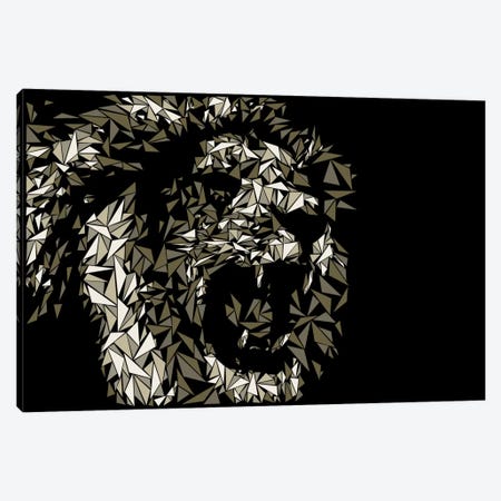 Lion Canvas Print #MIE47} by Cristian Mielu Canvas Wall Art