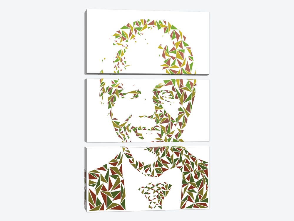Nelson Mandela by Cristian Mielu 3-piece Canvas Print