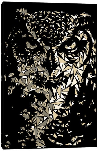Owl Canvas Art Print - Cristian Mielu