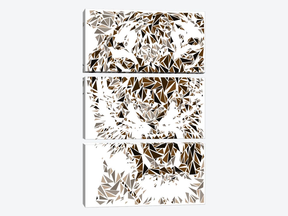 Tiger by Cristian Mielu 3-piece Art Print