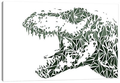 Tyrannosaurus Rex Canvas Art Print - Cristian Mielu