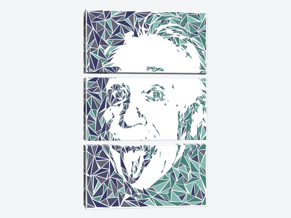 Albert Einstein by Cristian Mielu 3-piece Canvas Art Print